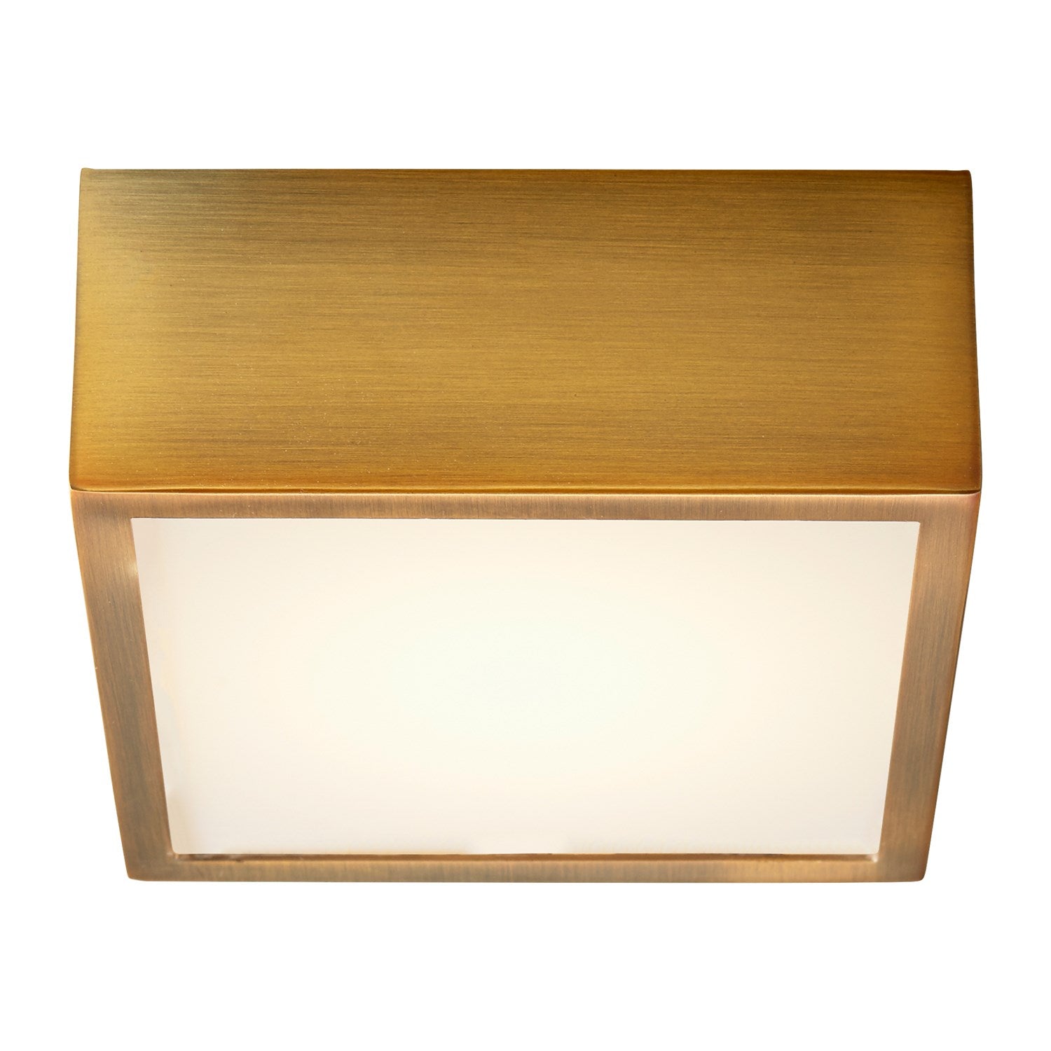 4.875X2 Ceiling Mount