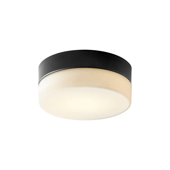 7.25X3 Ceiling Mount Black