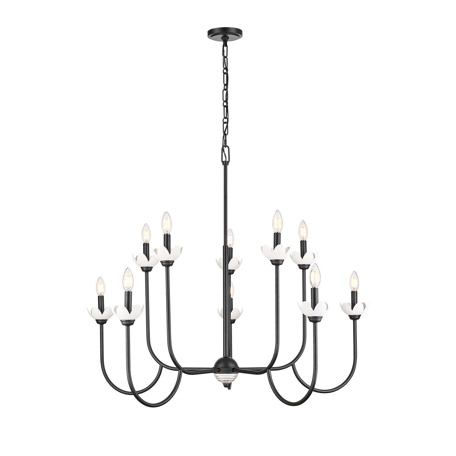 10 Light Chandelier by Z-Lite