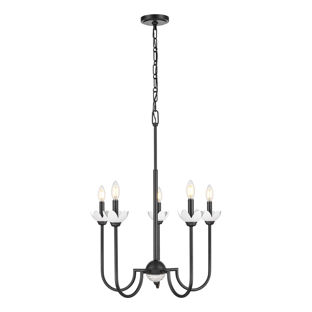 5 Light Chandelier by Z-Lite