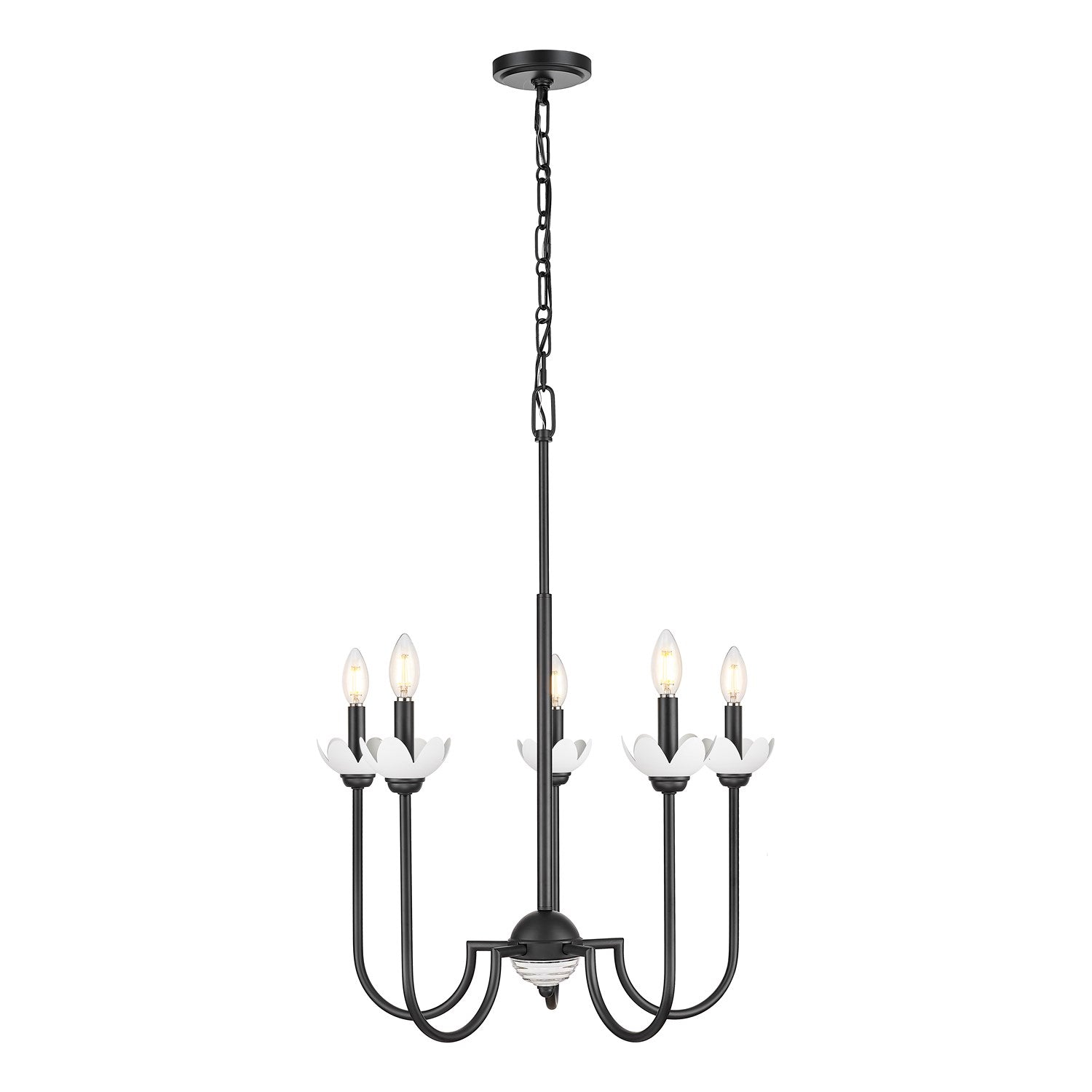 5 Light Chandelier by Z-Lite