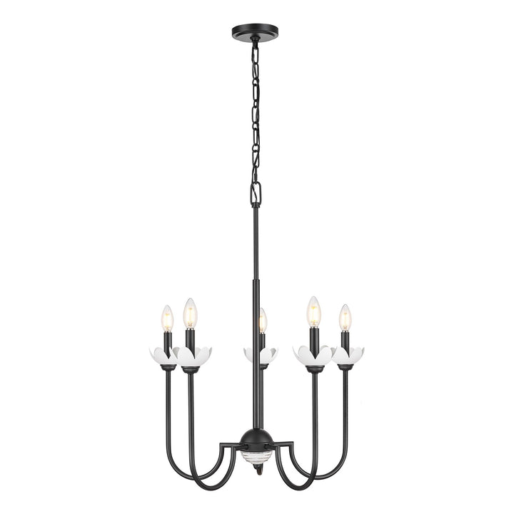 5 Light Chandelier by Z-Lite