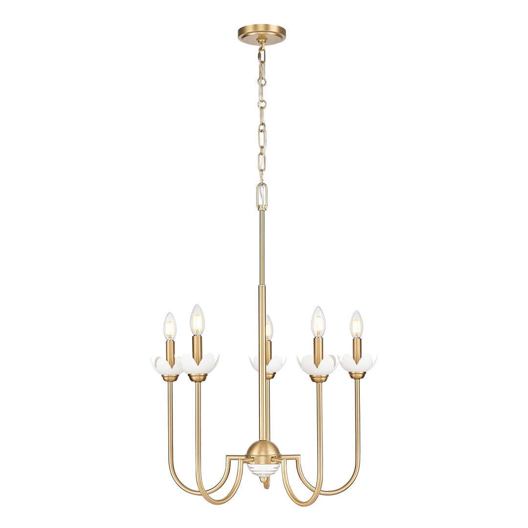5 Light Chandelier by Z-Lite