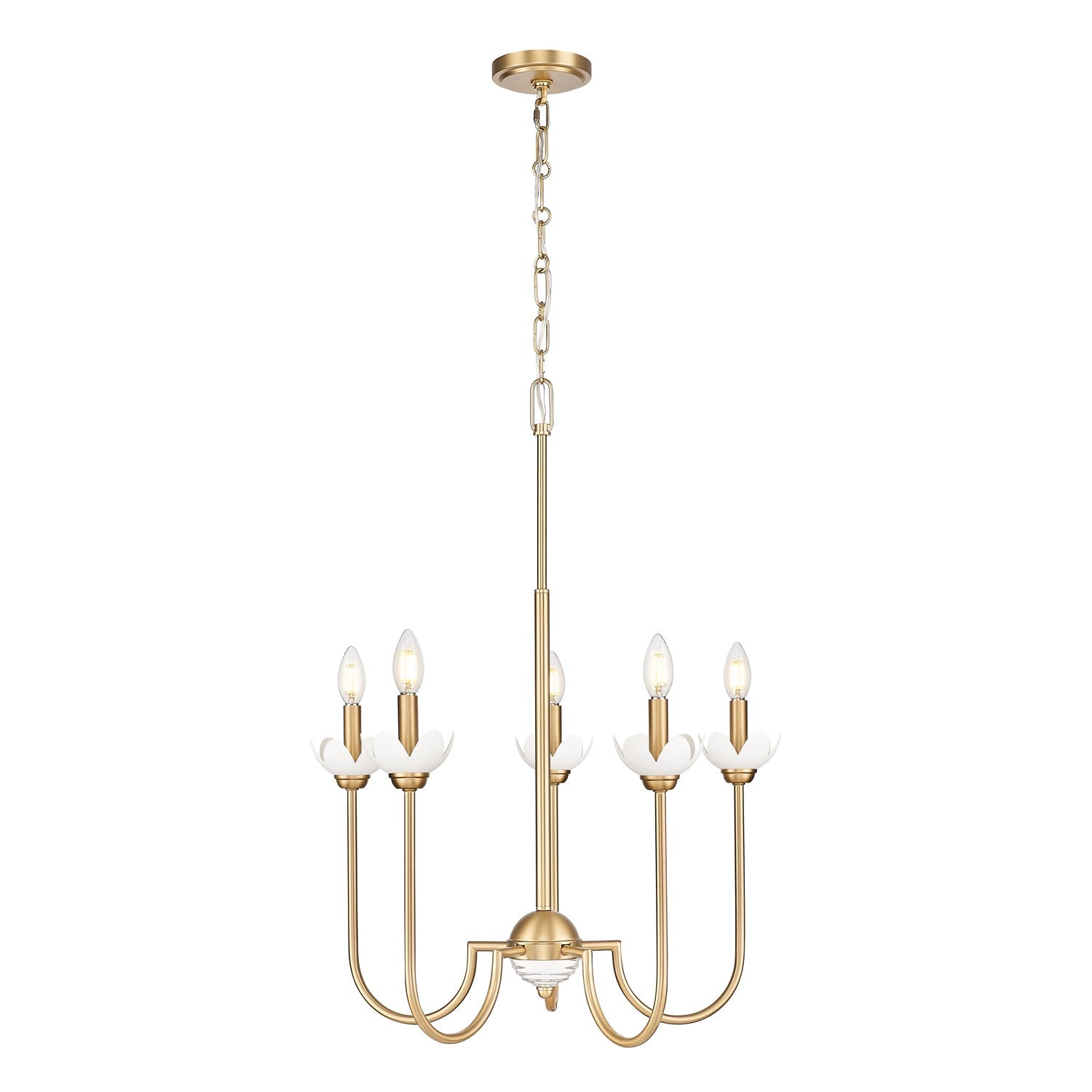 5 Light Chandelier by Z-Lite