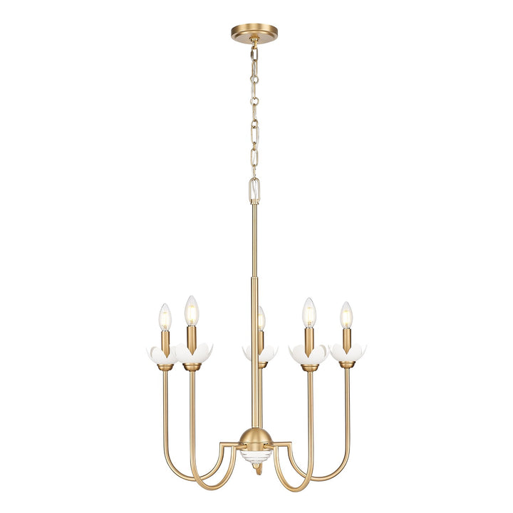 5 Light Chandelier by Z-Lite