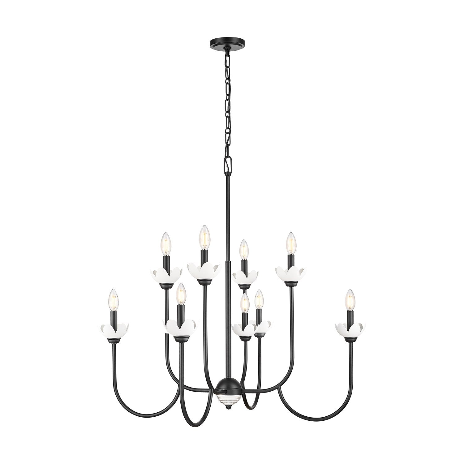 8 Light Chandelier by Z-Lite