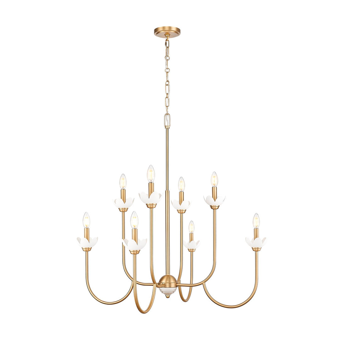 8 Light Chandelier by Z-Lite