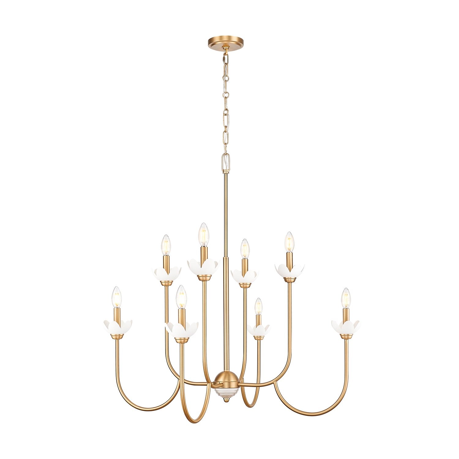 8 Light Chandelier by Z-Lite
