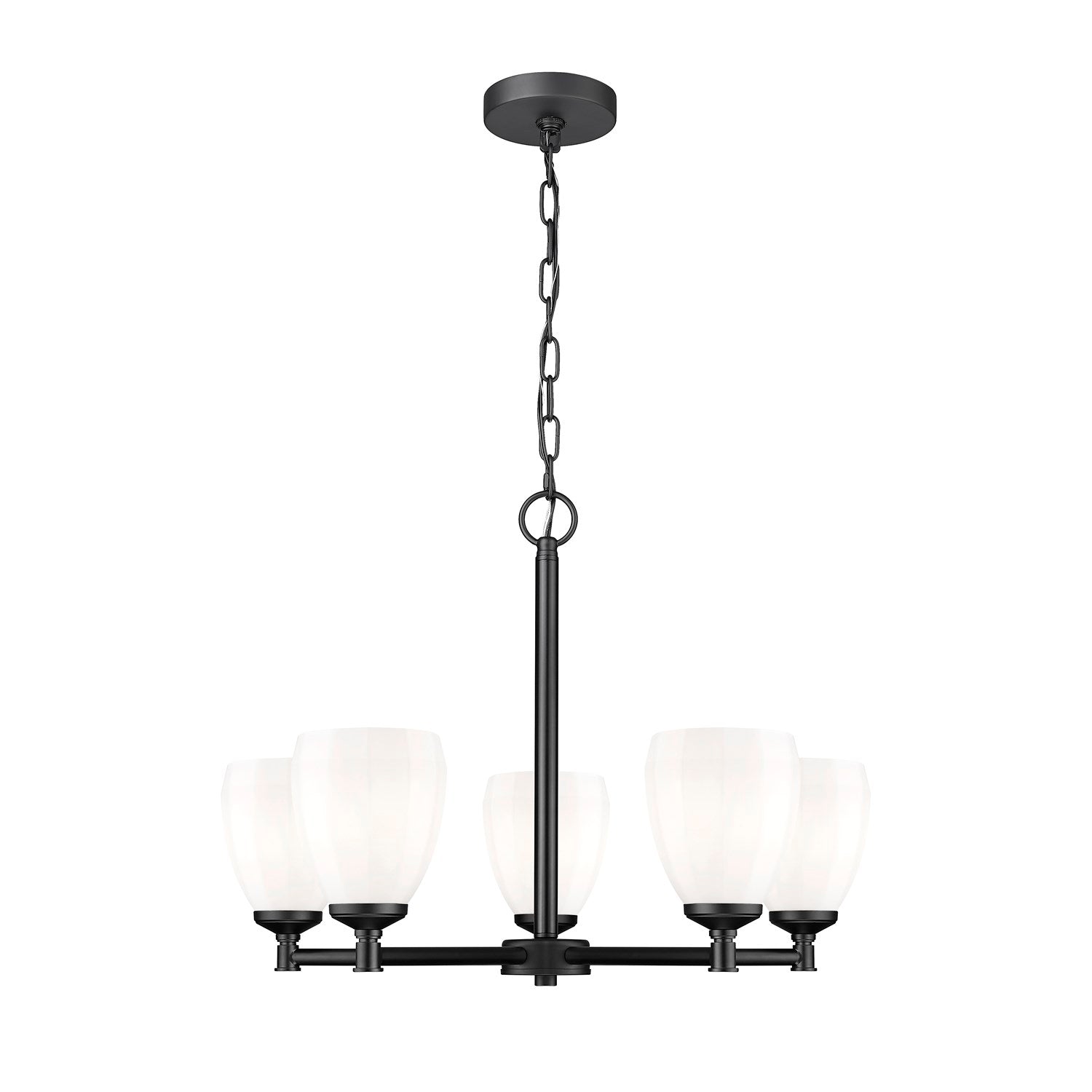 5 Light Chandelier by Z-Lite