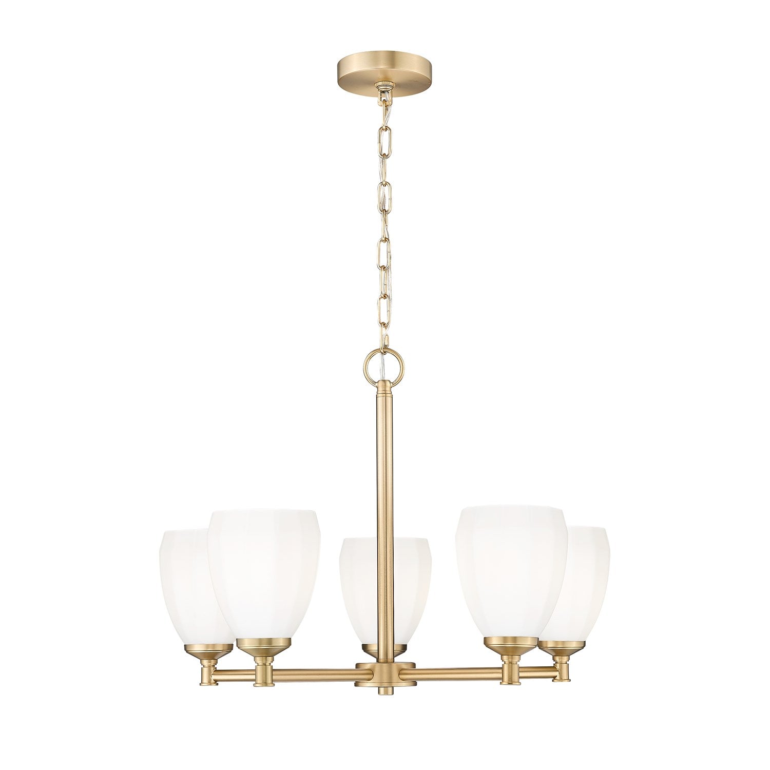 5 Light Chandelier by Z-Lite