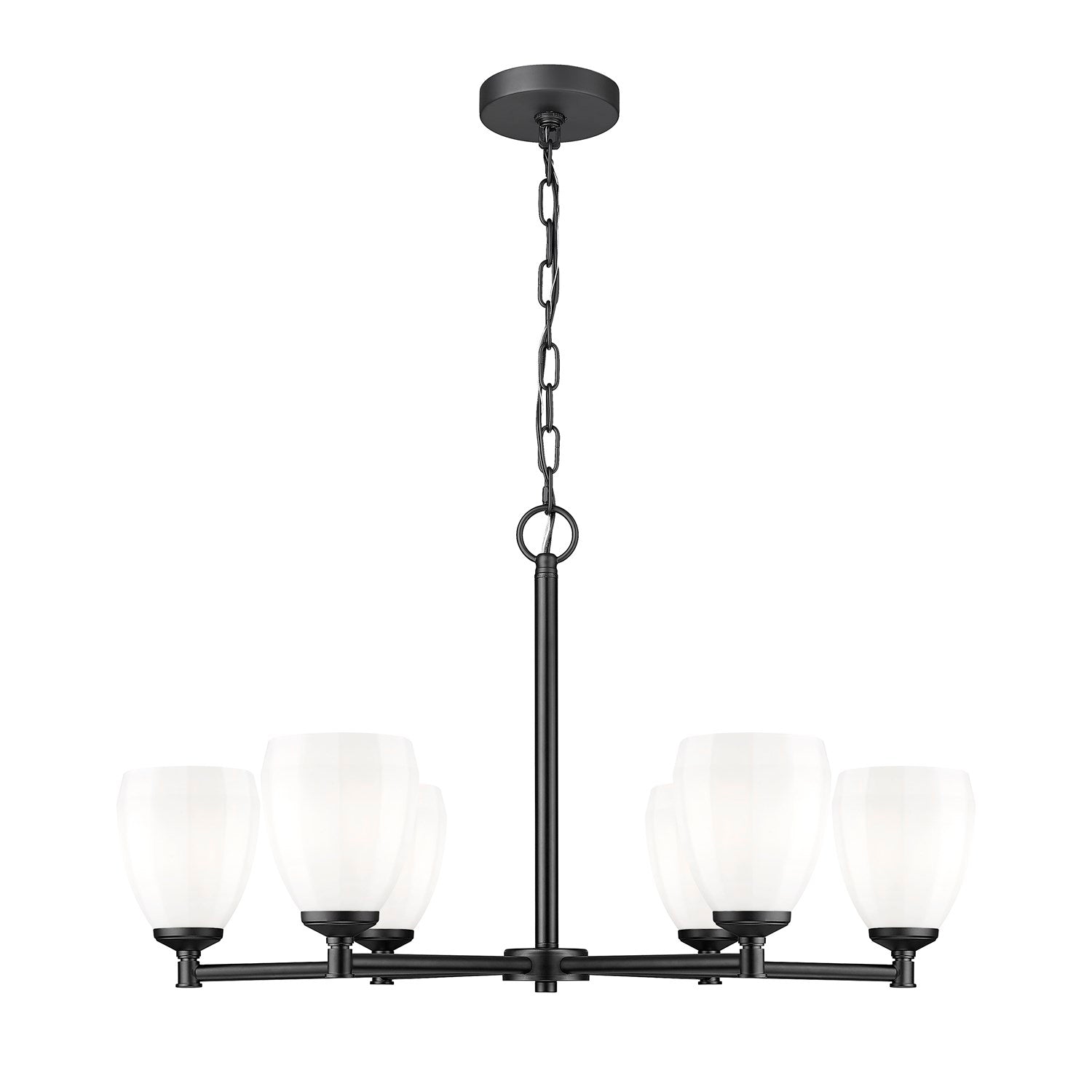 6 Light Chandelier by Z-Lite