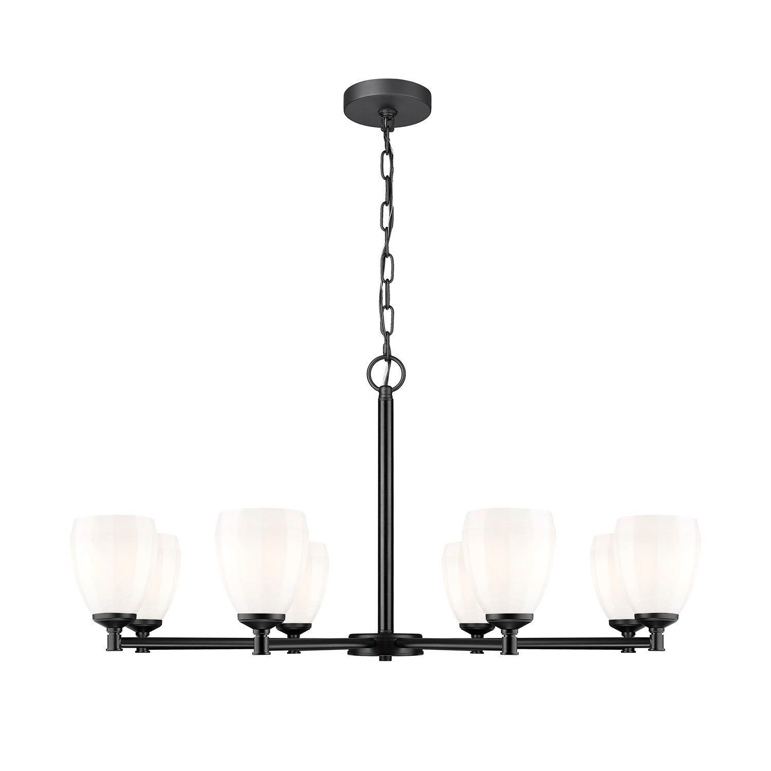 8 Light Chandelier by Z-Lite