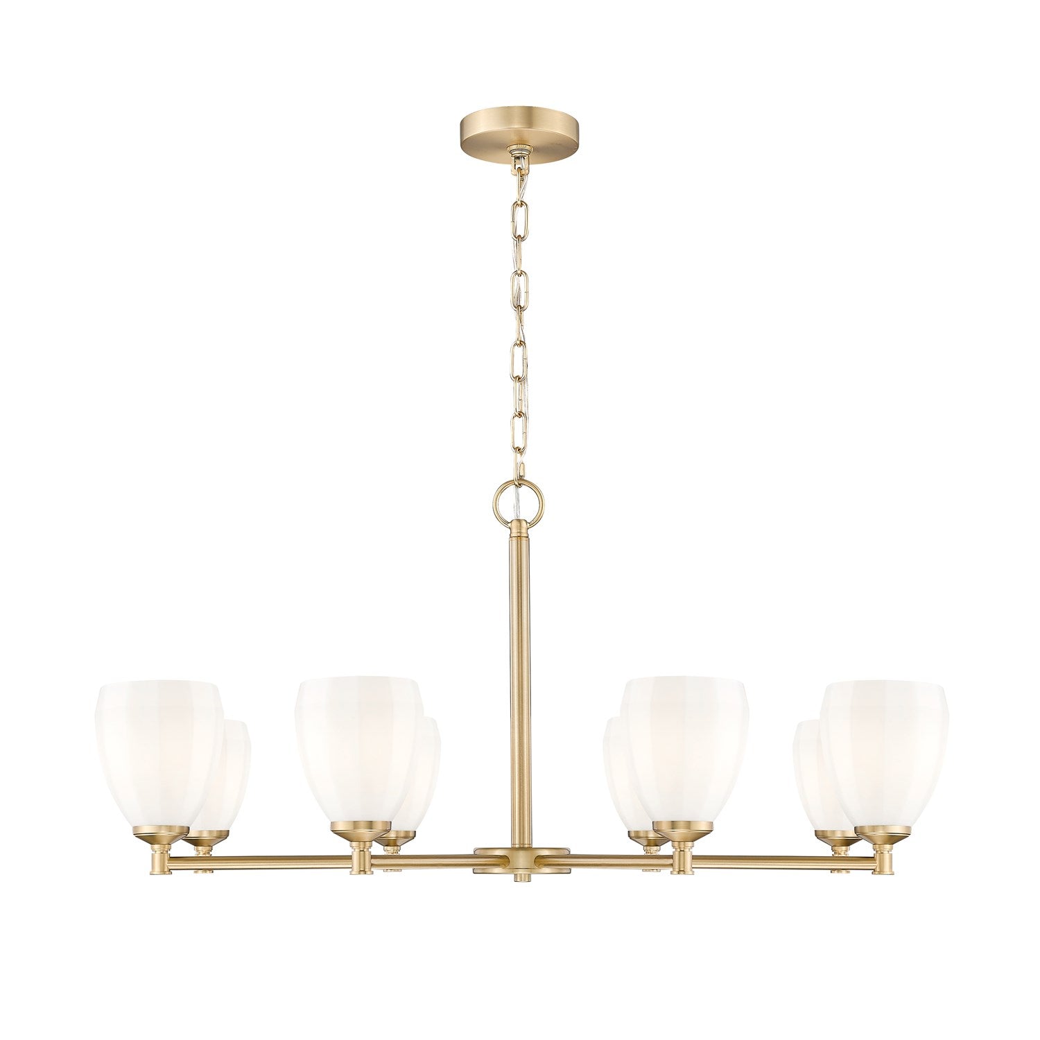 8 Light Chandelier by Z-Lite