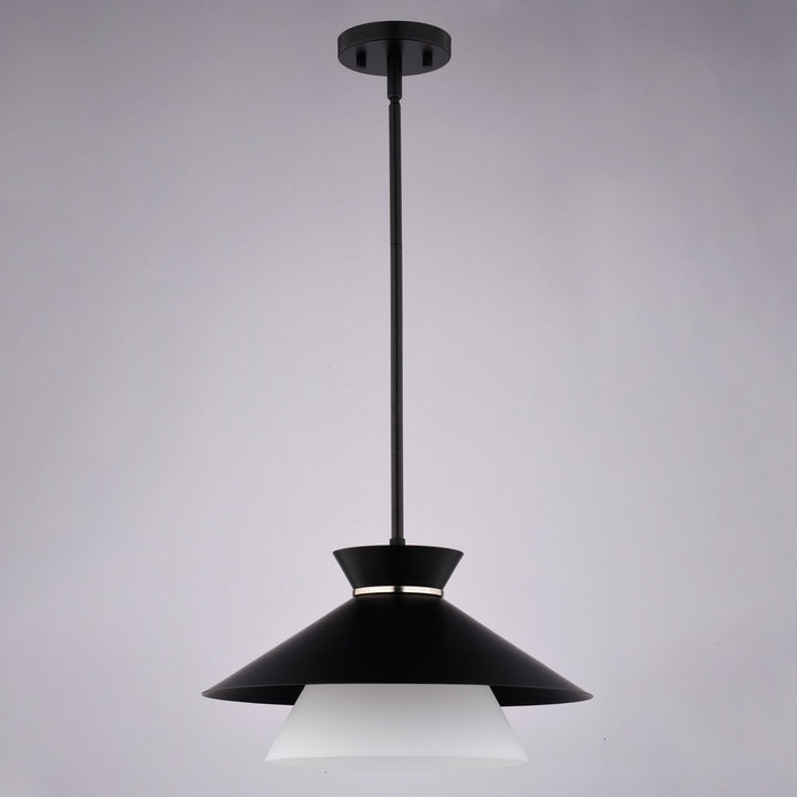 15-In. 1 Light Pendant Matte Black
