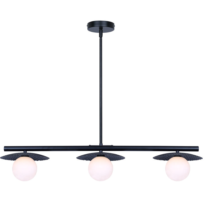 3 Light Black Pendant by Canarm