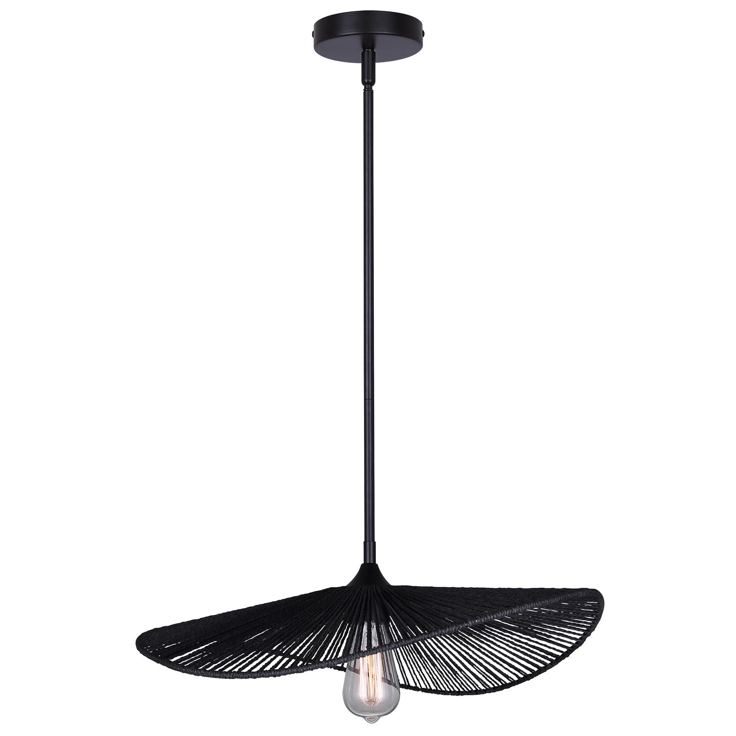 1 Light Black Pendant by Canarm
