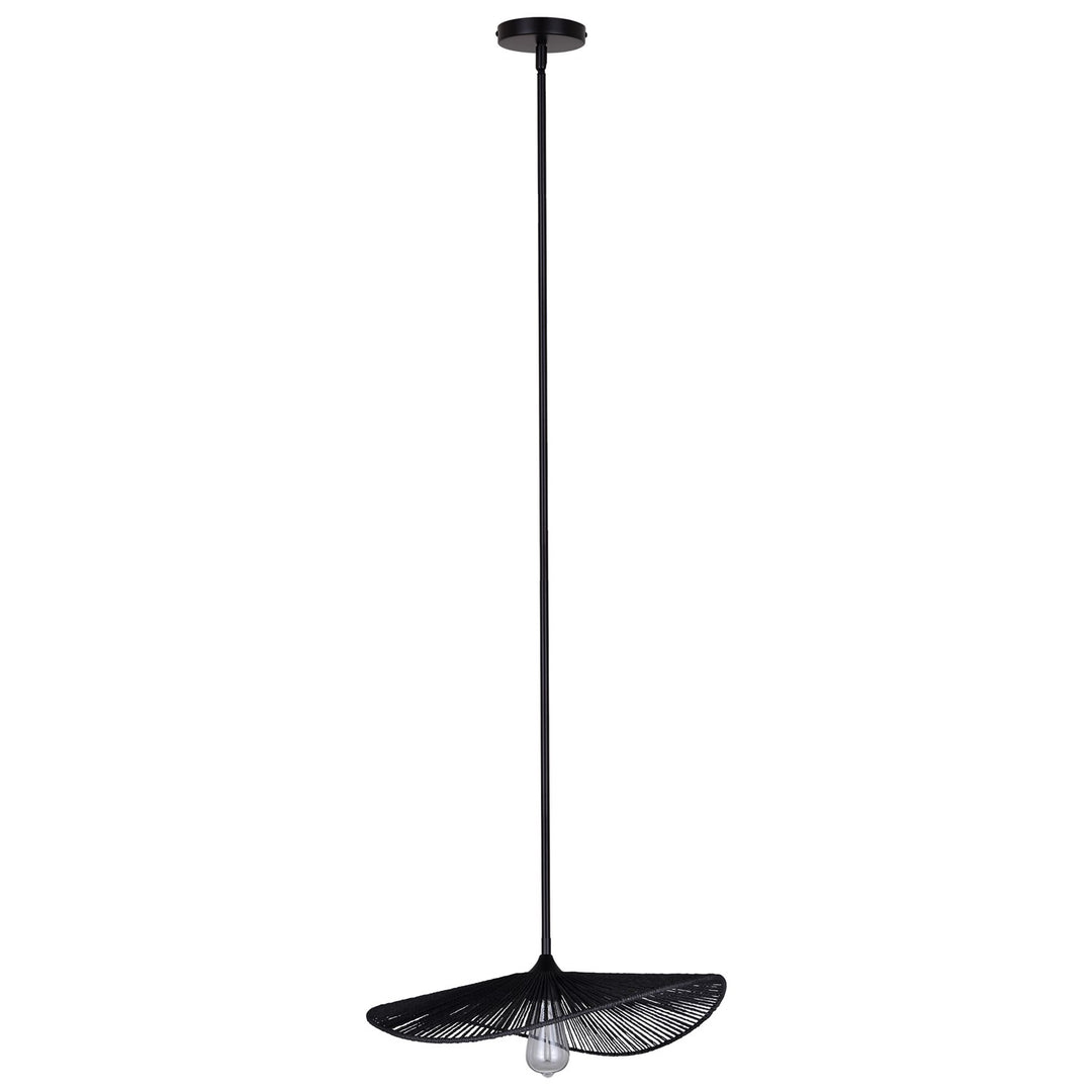 1 Light Black Pendant