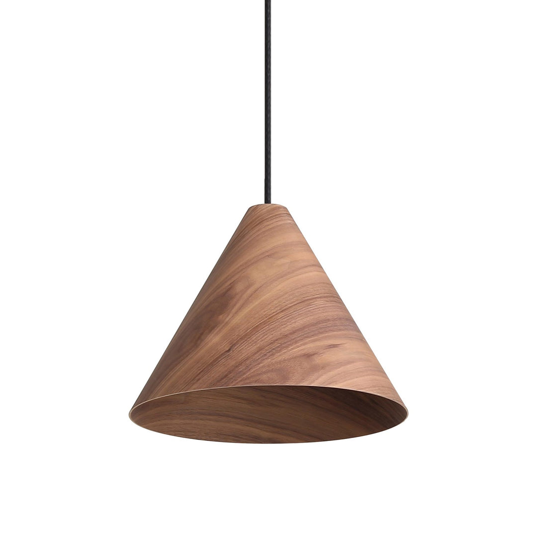 1-Light Pendant In Dark Walnut by Golden