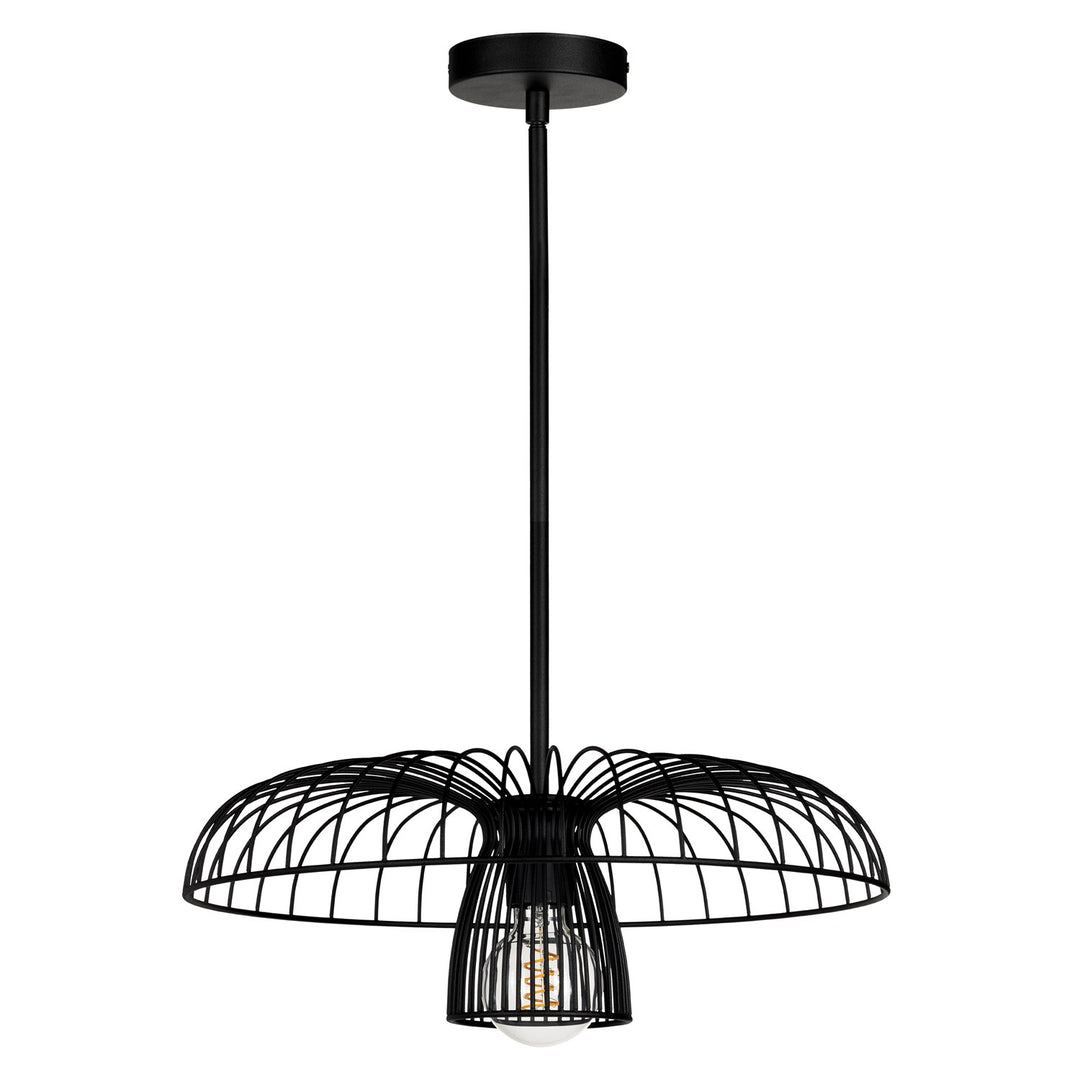 1 Light Dual Mount Ceiling Or Pendant Light W/ Black Finish
