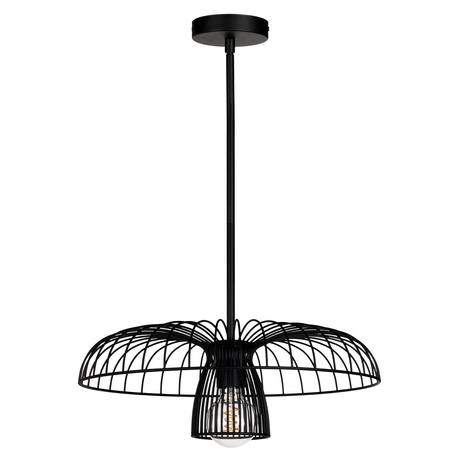 1 Light Dual Mount Ceiling Or Pendant Light W/ Black Finish