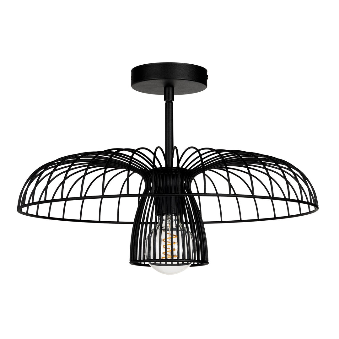 1 Light Dual Mount Ceiling Or Pendant Light W/ Black Finish