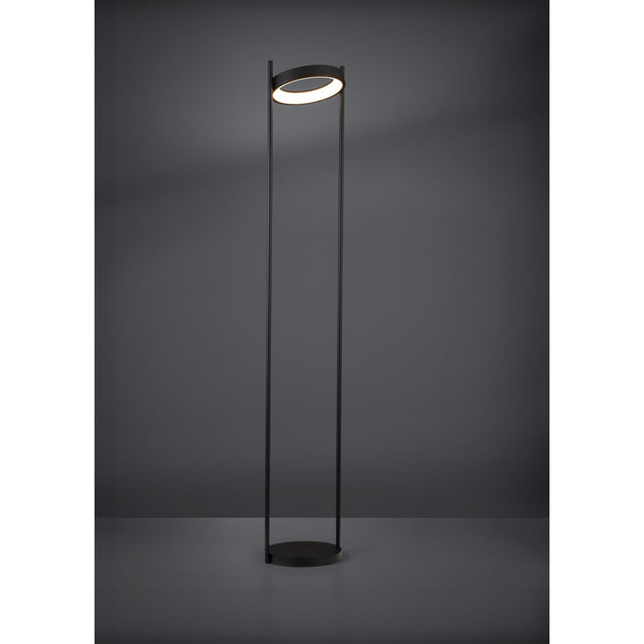 1 Light Led Floor Lamp W/ Black Finish & Ring Shaped Lamp Head
