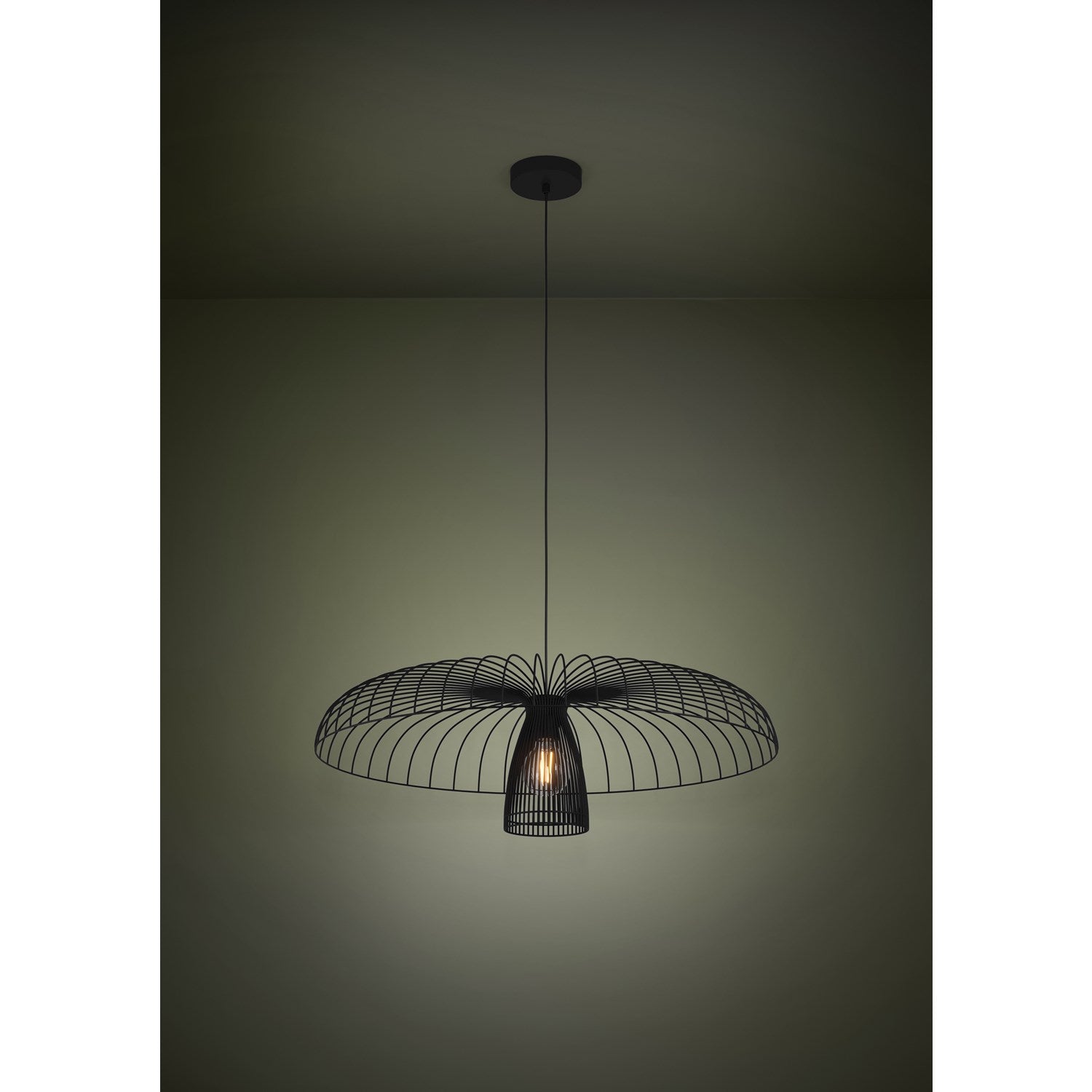 1 Light Metal Dome Cage Chandelier W/ Black Finish