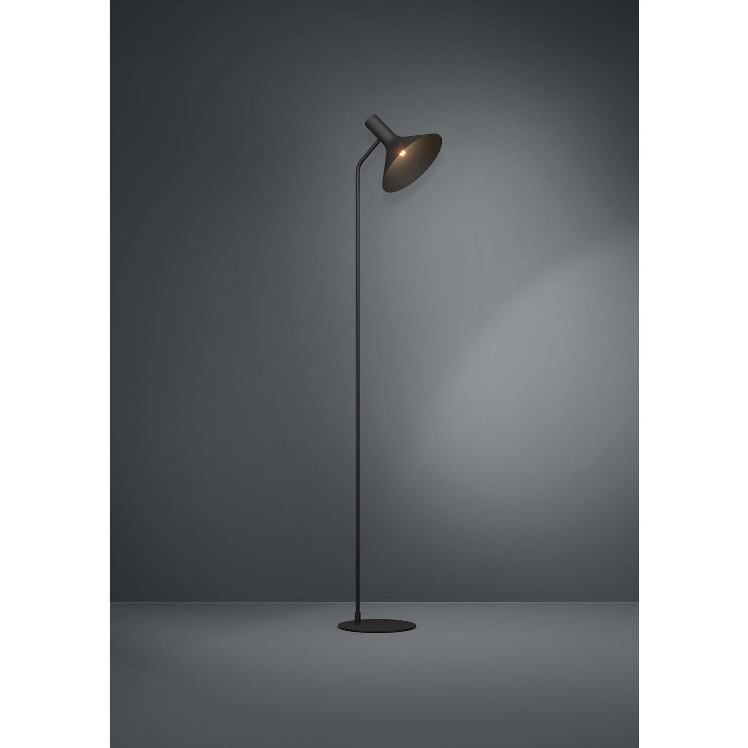 1 Light Floor Lamp W/ Black Finish & Black Metal Shade