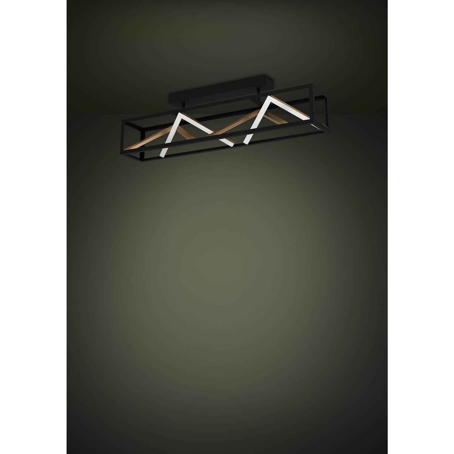 1 Light Led Ceiling Light W/ Black & Gold Finish W/ White Acrylic Diffuser
