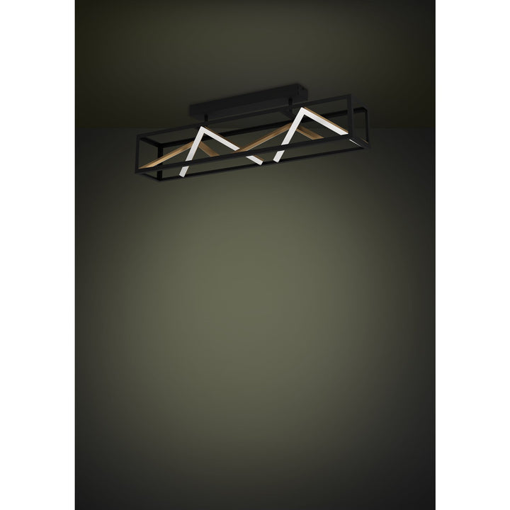 1 Light Led Ceiling Light W/ Black & Gold Finish W/ White Acrylic Diffuser