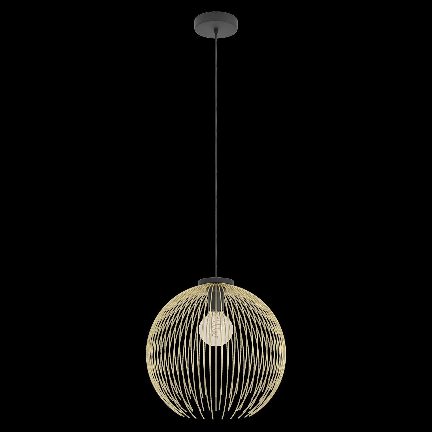 1 Light Pendant W/ Black Finish & Gold Metal Shade