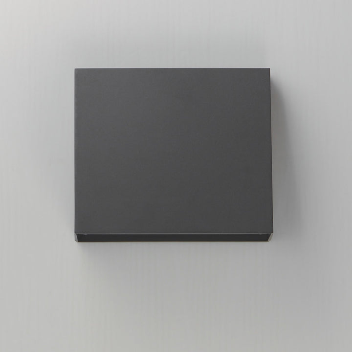 Pathfinder-Outdoor Wall Mount