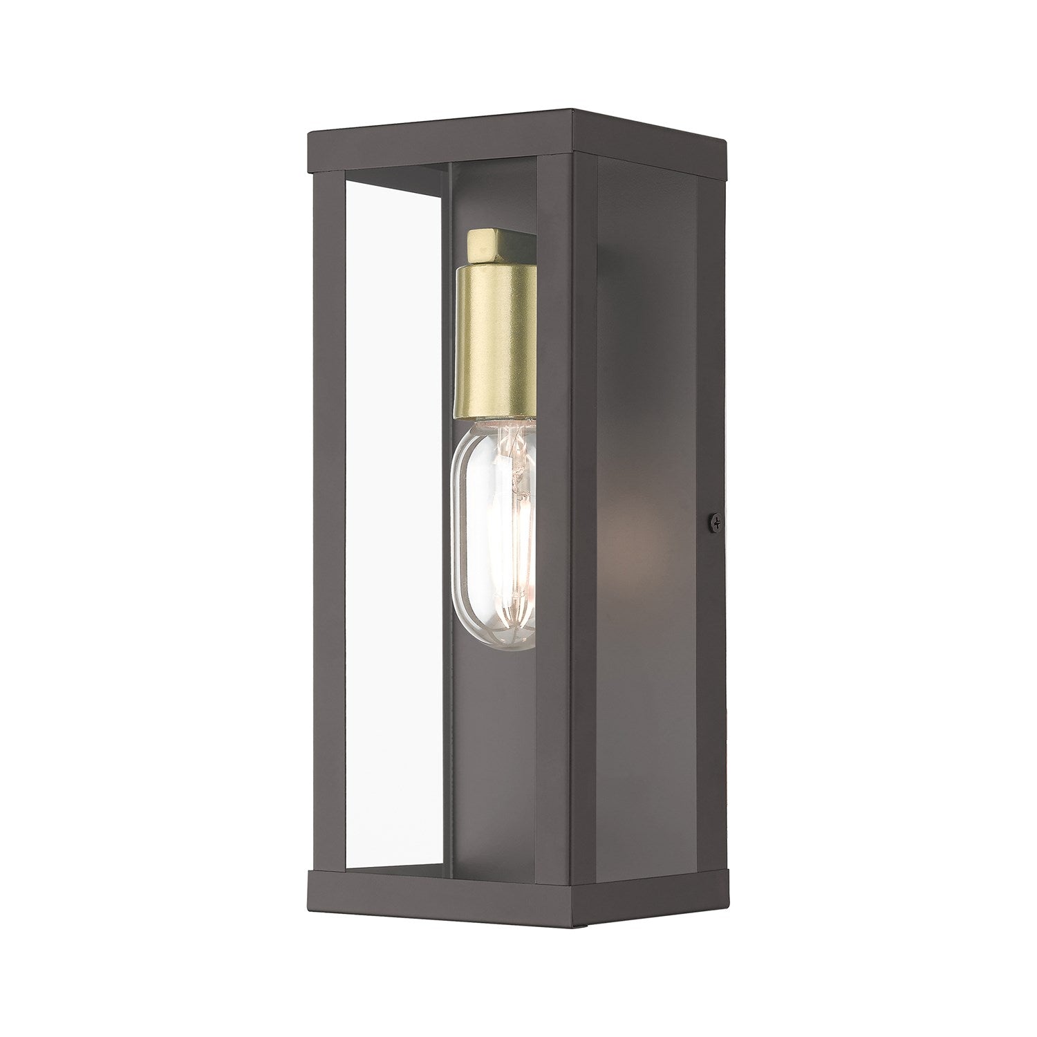 1 Light Bronze Outdoor Ada Medium Wall Lantern With Antique Gold Finish Accents by Livex Lighting