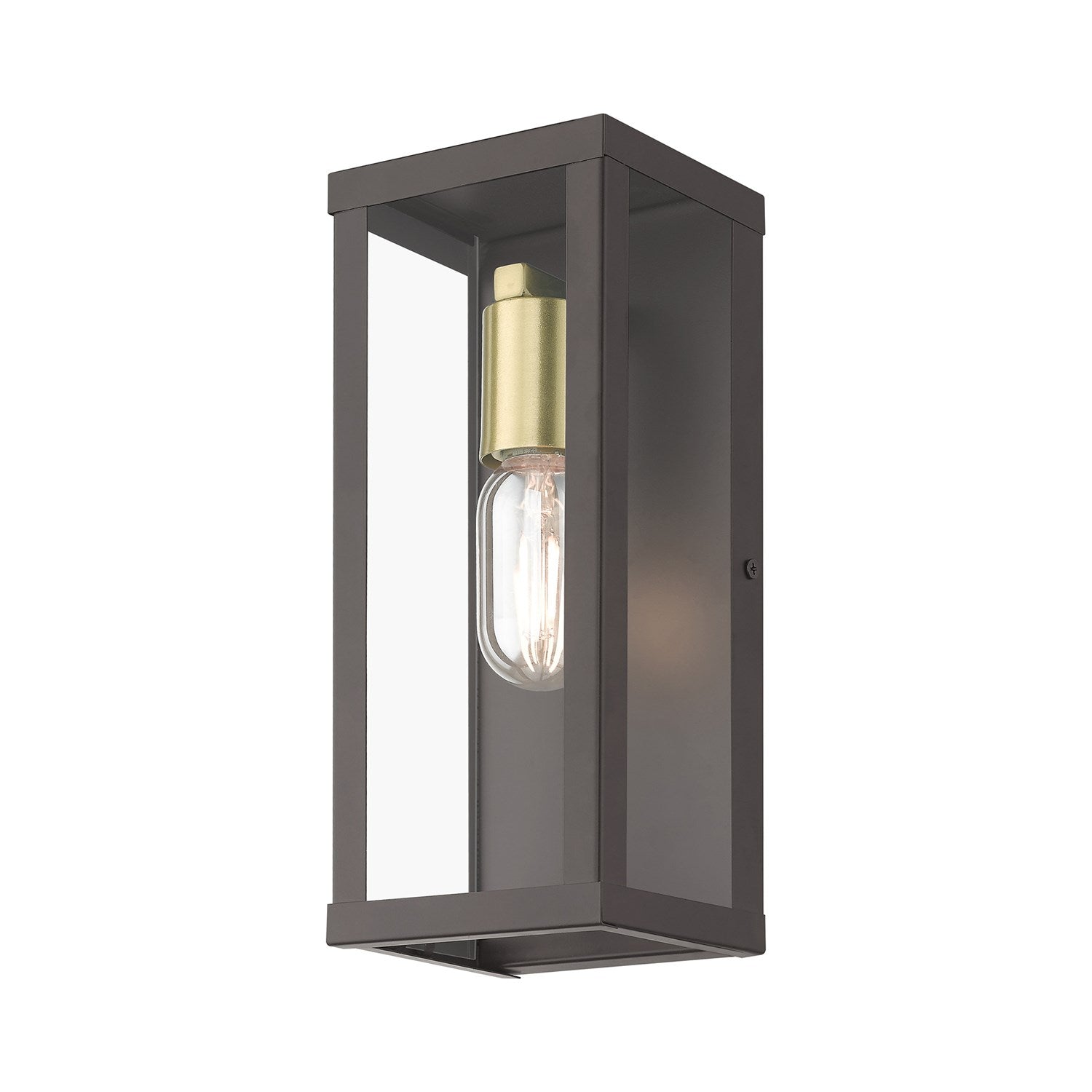 1 Light Bronze Outdoor Ada Medium Wall Lantern With Antique Gold Finish Accents