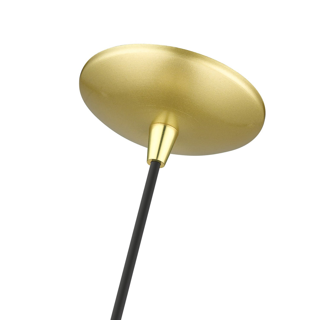 1 Light Soft Gold Pendant With Polished Brass Finish Accents