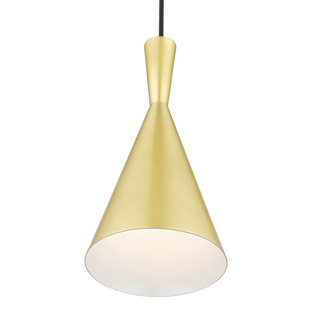 1 Light Soft Gold Pendant With Polished Brass Finish Accents
