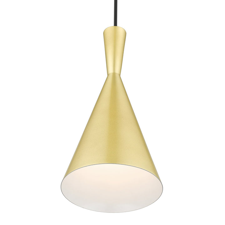 1 Light Soft Gold Pendant With Polished Brass Finish Accents