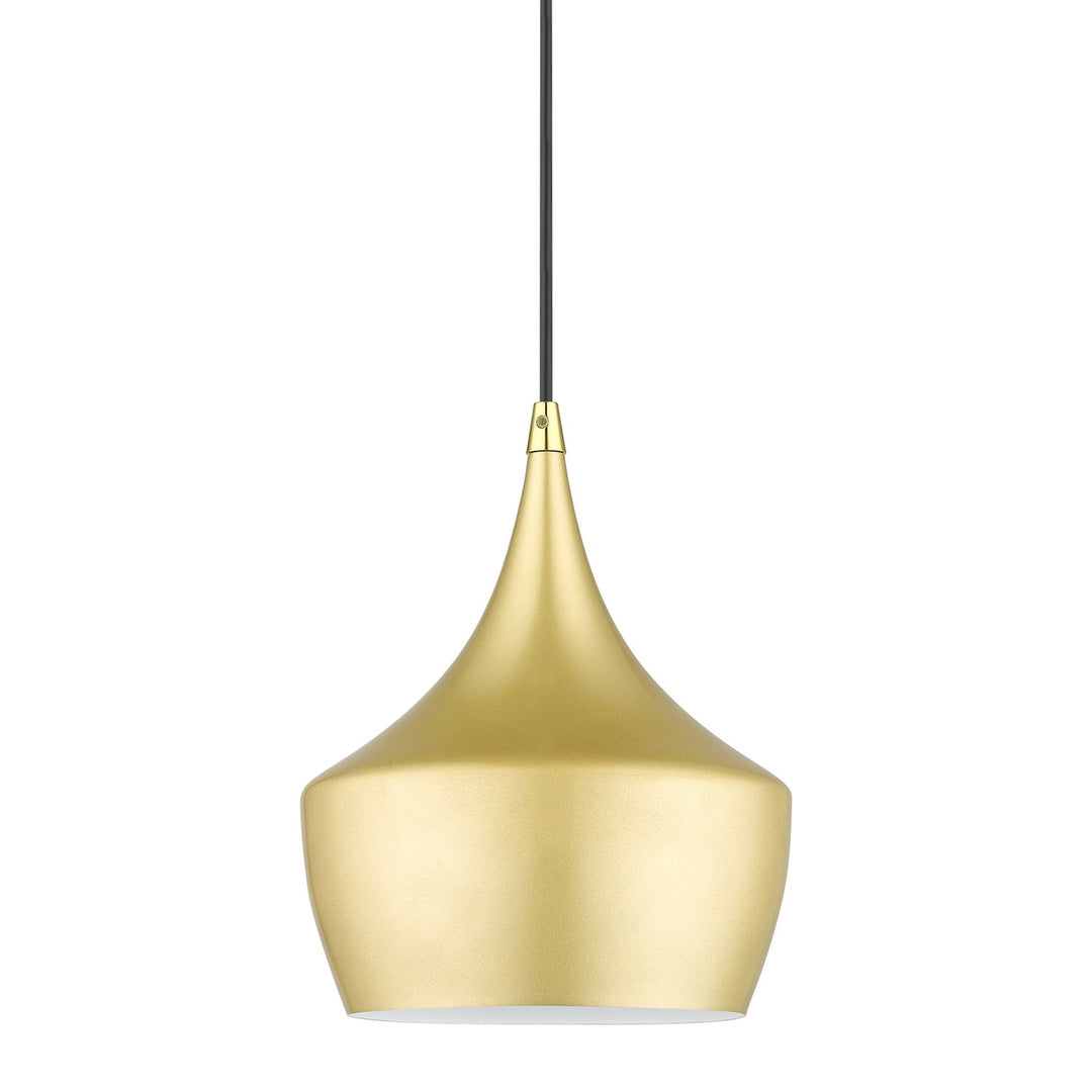 1 Light Soft Gold Pendant With Polished Brass Finish Accents