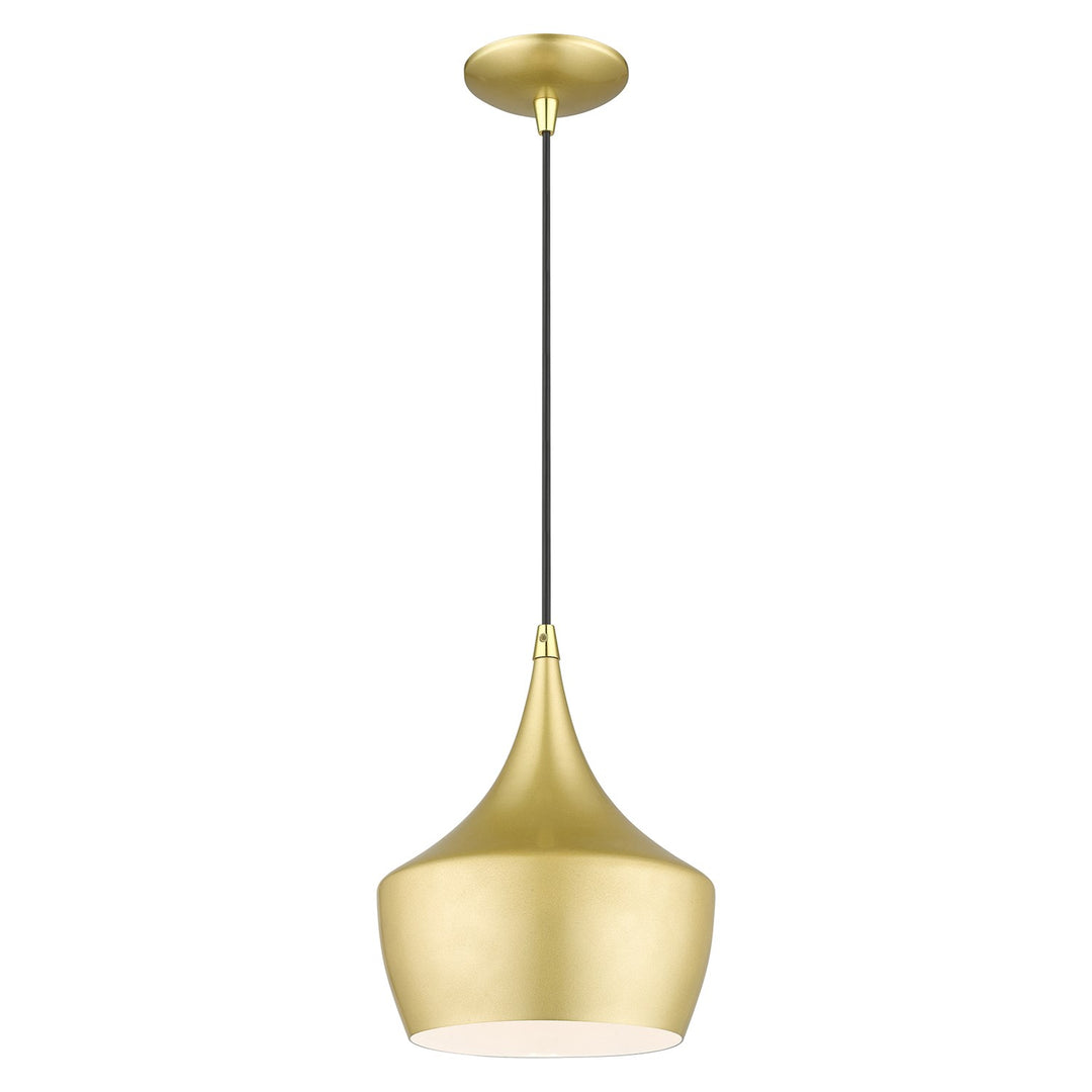 1 Light Soft Gold Pendant With Polished Brass Finish Accents