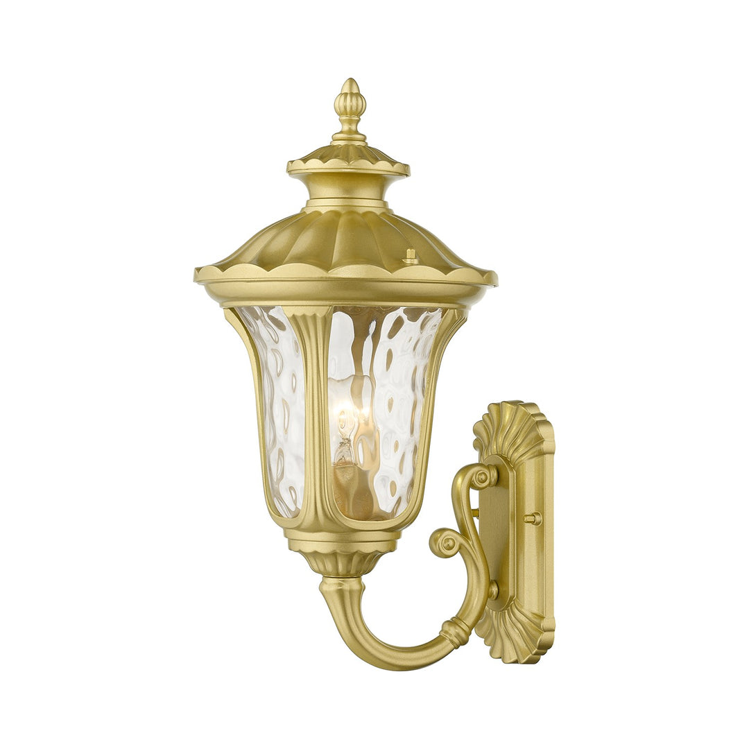 1 Light Soft Gold Outdoor Medium Wall Lantern by Livex Lighting