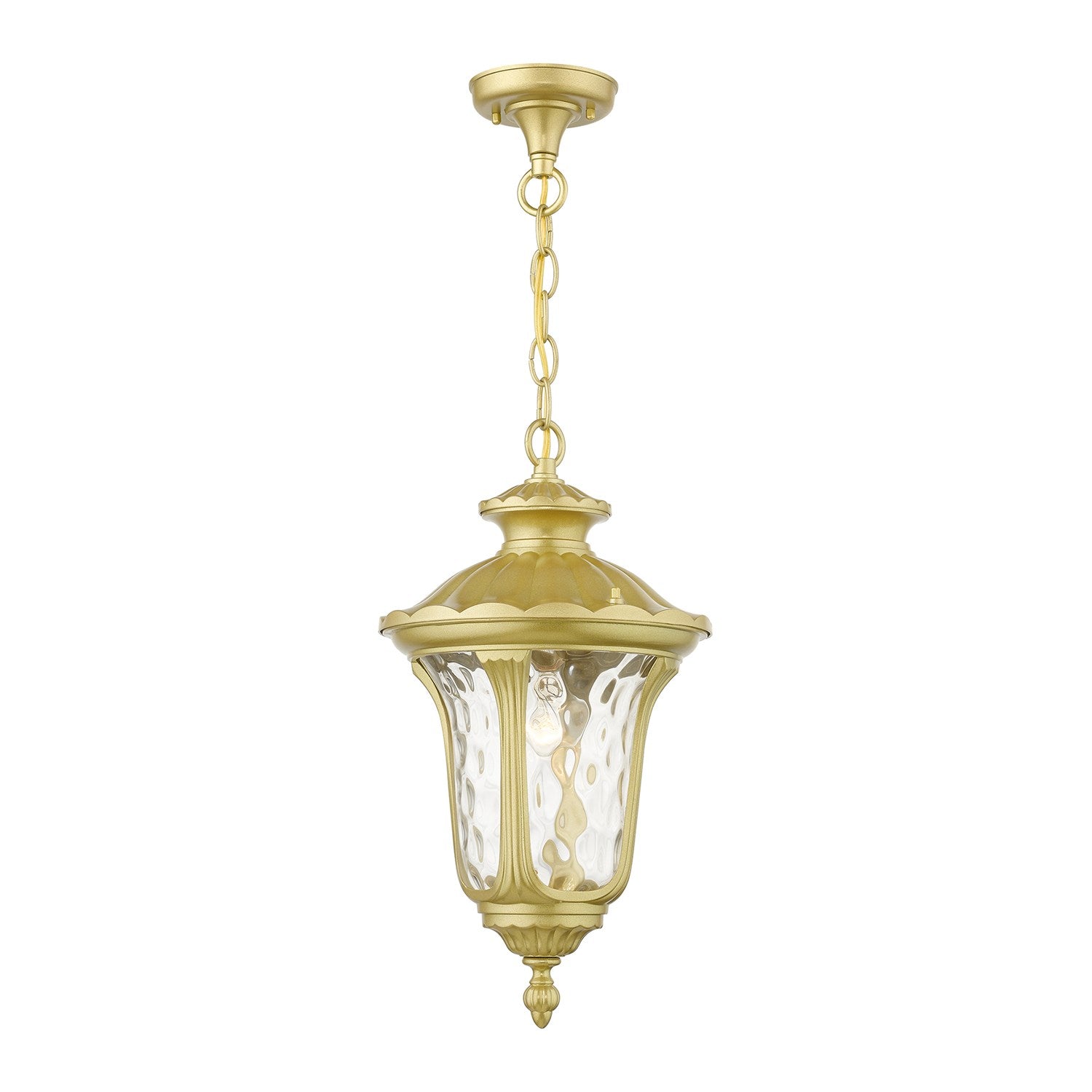 1 Light Soft Gold Outdoor Medium Pendant Lantern by Livex Lighting
