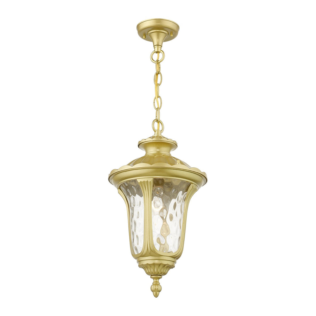 1 Light Soft Gold Outdoor Medium Pendant Lantern