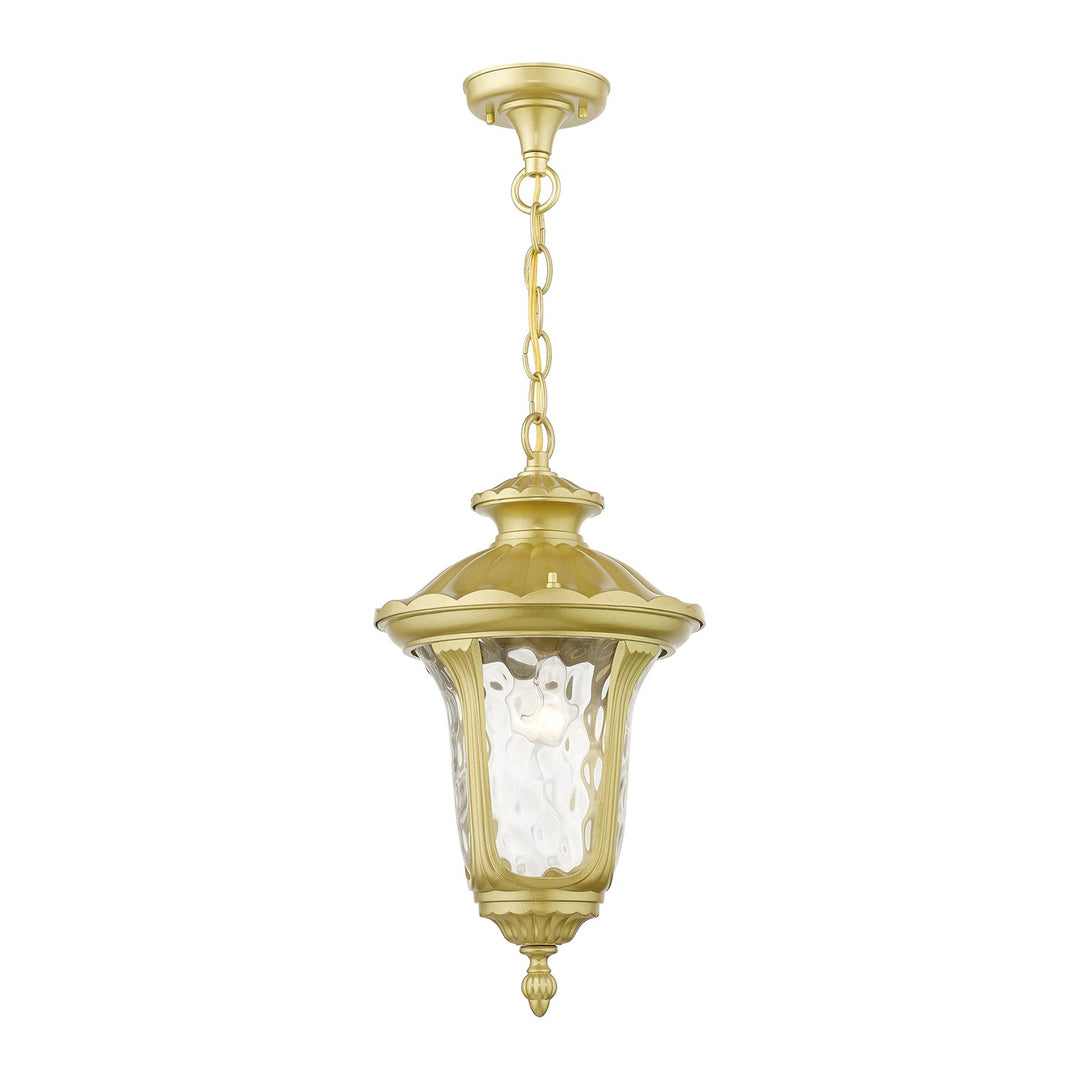 1 Light Soft Gold Outdoor Medium Pendant Lantern