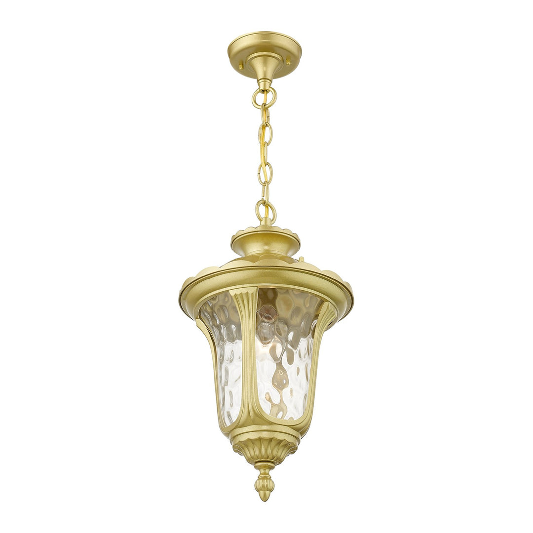1 Light Soft Gold Outdoor Medium Pendant Lantern