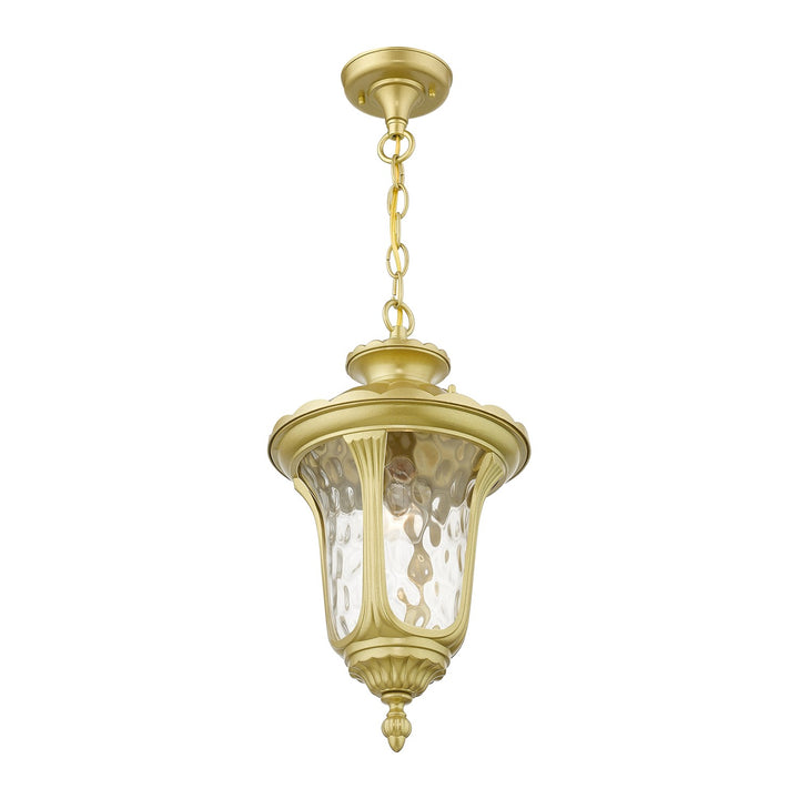 1 Light Soft Gold Outdoor Medium Pendant Lantern
