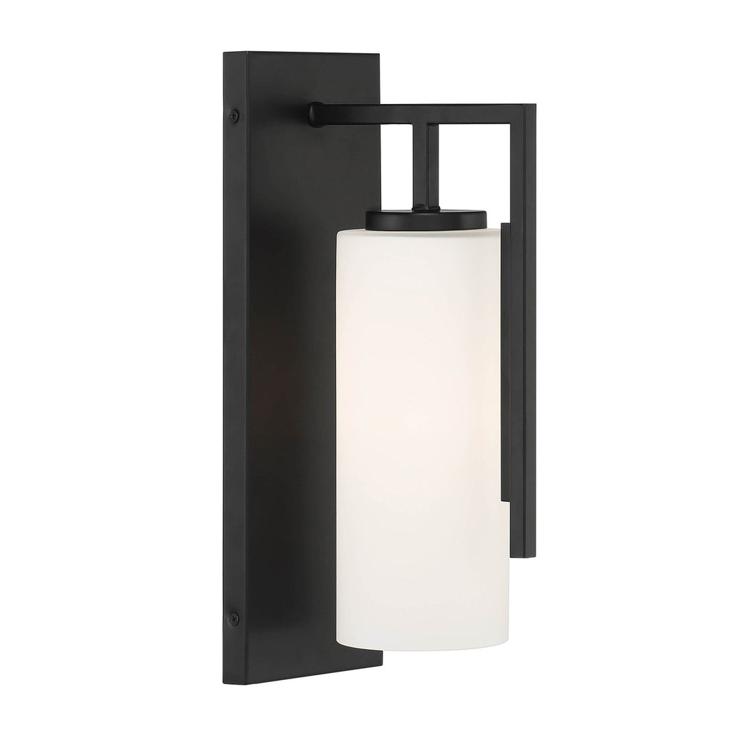1 Light Wall Sconce