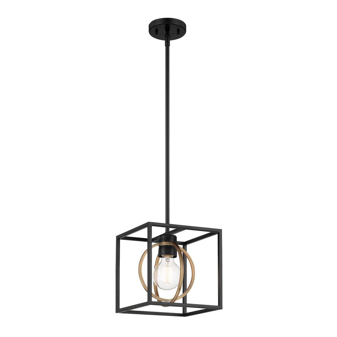 1 Light Pendant Convertible by Designers Fountain