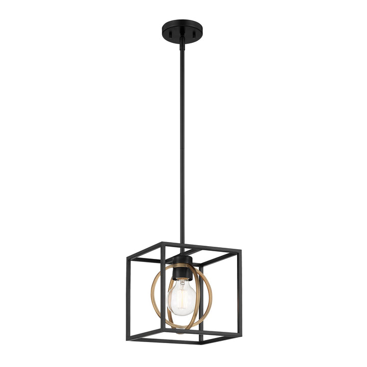1 Light Pendant Convertible by Designers Fountain