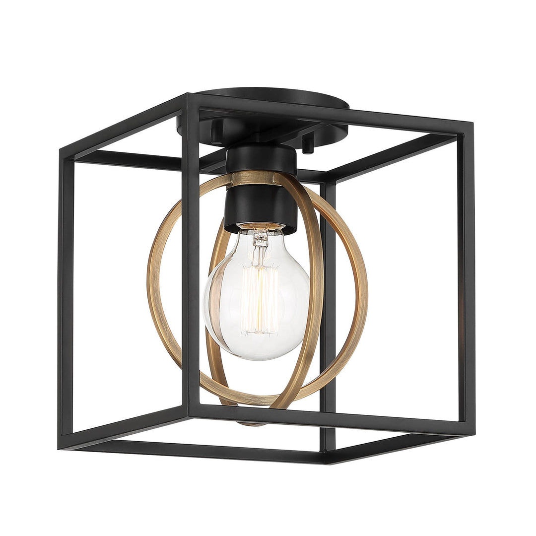 1 Light Pendant Convertible