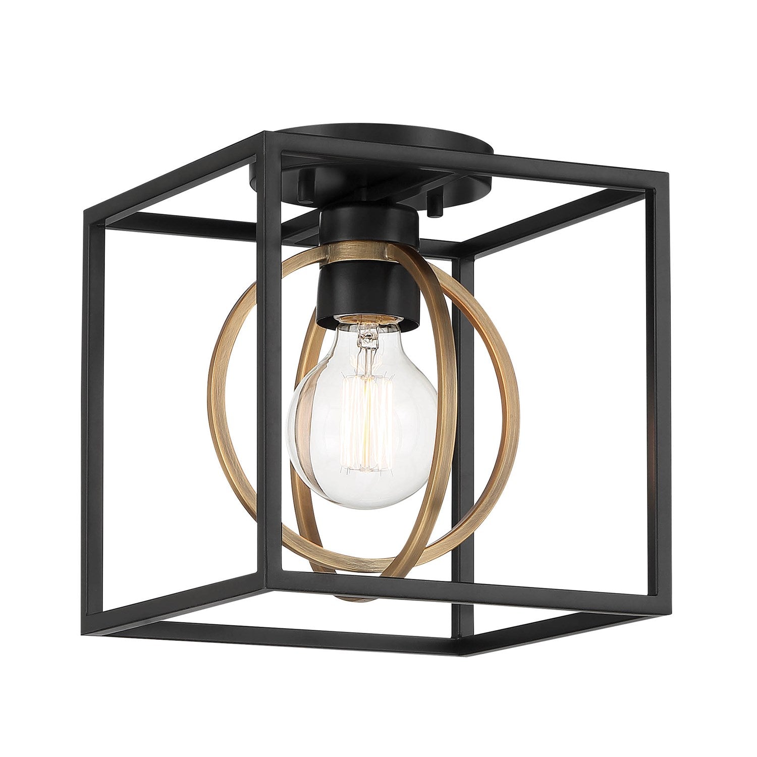 1 Light Pendant Convertible